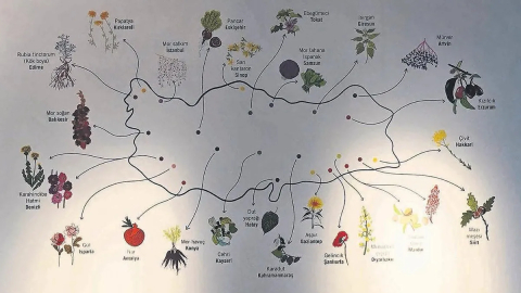 Ne ararsan Anadolu’da var - Cumartesi Sabah Haberleri