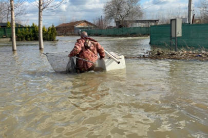 Edirne’de ilginç görüntüler: Çiftçinin tarlasında balık festivali