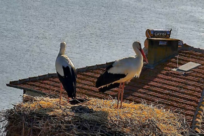 Leylek Köyü’nde büyük kavuşma