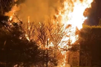 İnegöl Botanik Park'ta korkutan gece!