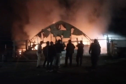 Bursa’da çiftlikte yangın