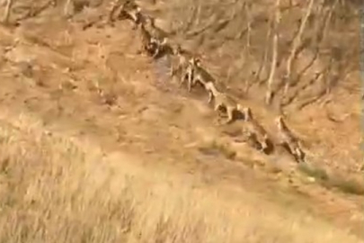 İnegöl’de masalsı sabah!