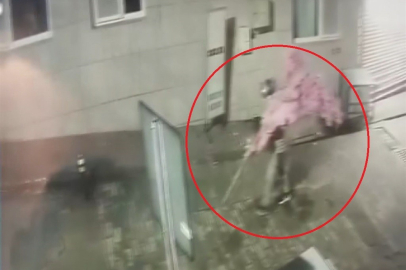 Bursa'da ilginç hırsızlık olayı: Kafenin süslerini çaldı!