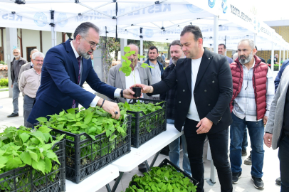 Kestel’de üreticiye ahududu desteği