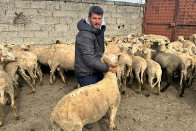 Kurbanlık parasıyla evlenmişti, şimdi doğacak bebeği için kullanacak