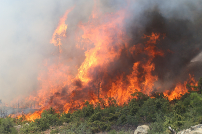 Bursa’daki büyük orman yangınının yaraları sarılıyor!