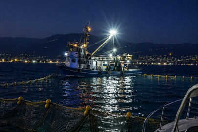 Gemlik Körfezi’nde sardalya avcılığı başladı!