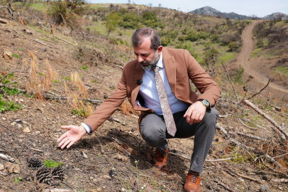 Başkan Işık’tan Yeşil Gürsu Çağrısı: “Yeni filizlerimize hep birlikte sahip çıkmalıyız”