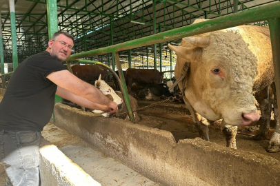 Bursa’da dev kurbanlık dikkat çekti!