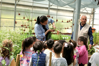 Osmangazi’de minikler üretimle tanıştı