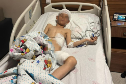 Van’da köpek saldırısında 5 yaşındaki çocuk hayatını kaybetti