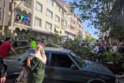 Bursa’da seyir halindeki araçların üzerine ağaç devrildi!