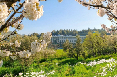 Mudanya Üniversitesi’ne 6 yeni bölüm onayı!