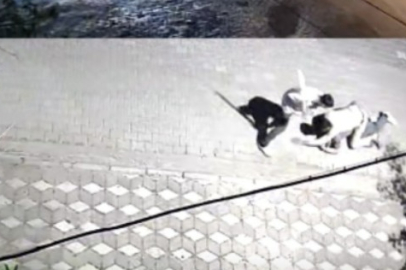 Manisa’da kız meselesi kavgası!