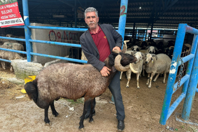 Bursa’daki kurban pazarında yoğunluk başladı!