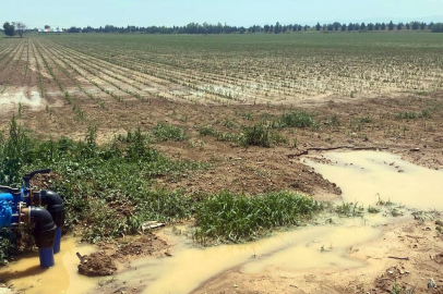 Bursa Yenişehir'i sel ve dolu vurdu