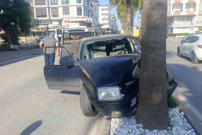 Palmiyeye çarpan Tofaş hurdaya döndü: 4 genç yaralandı