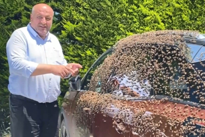 Ordu'da şehir merkezinde otomobili arılar sardı