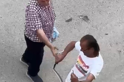 Sakarya'da paniğe sebep olan yılanı eliyle yakaladı