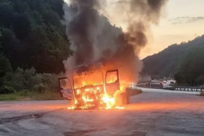 Bursa plakalı tır alevlere teslim oldu!