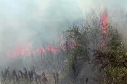 Bursa’da korkutan otluk yangını! Dumanlar yolu kapladı...