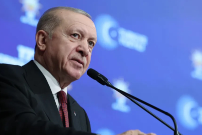 Sokak röportajında Erdoğan'a hakaret eden kadına ev hapsi cezası