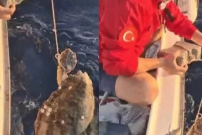 Ayağına taş bağlanıp denize bırakılan Caretta carettayı balıkçılar kurtardı