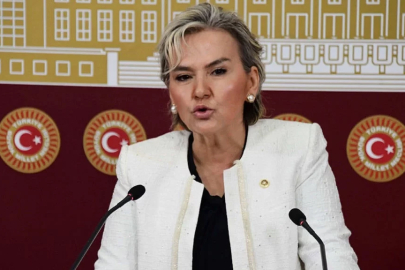 Nimet Özdemir CHP'den istifa etti