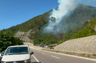Bursa'da ormanlık alanda yangın