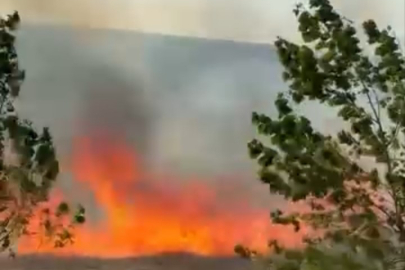 Bursa'da fabrikanın yanındaki arazide korkutan yangın