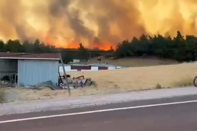 Çanakkale Bayramiç'te orman yangını