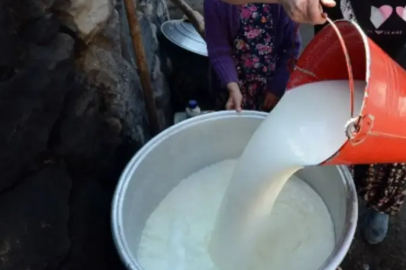 Süt üretiminde maliyetler düştü, gözler market raflarına çevrildi