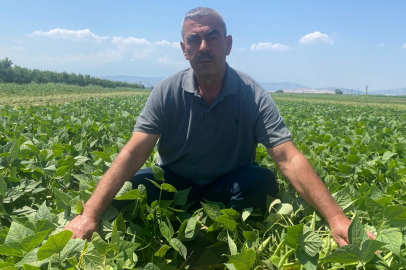 Bursa'da bu köyde çiftçi sadece tarlasını hazırlıyor, gerisini kooperatif yapıyor!