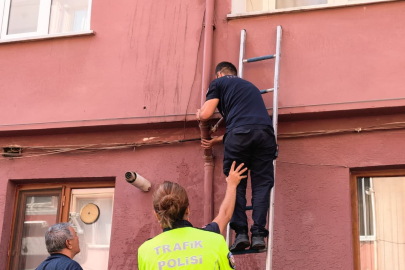 Bursa'da yağmur suyu giderine sıkışan kediyi itfaiye kurtardı