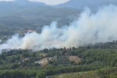 Muğla Seydikemer'de orman yangını