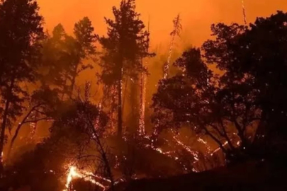 64 orman yangınıyla ilgili 11 şüpheli tutuklandı