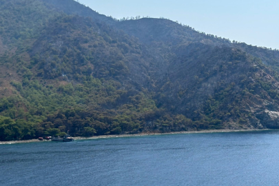 Muğla Marmaris'teki orman yangını kontrol altına alındı