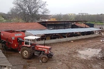 Kırşehir'de kayıp hayvanlarını ararken acı gerçekle karşılaştı
