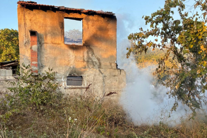 Bursa'da bağ evinde çıkan yangın tarım makinelerini de kül etti