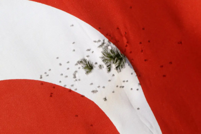 Türk bayrağına çirkin saldırı! Av tüfeği ile ateş edildi