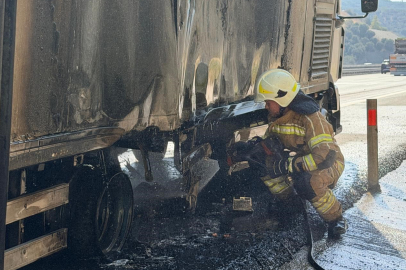 Bursa'da canlı hayvan nakil aracı otoyolda alev aldı