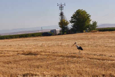 Elektrik akımına kapılan eşinin başından 5 gün ayrılmadı!