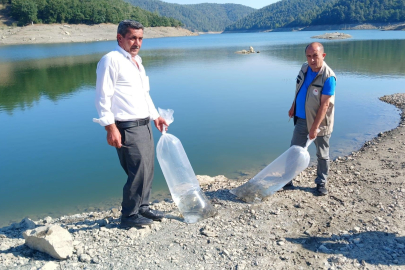 Bursa Orhaneli’de göletler sazan yavrularıyla buluştu
